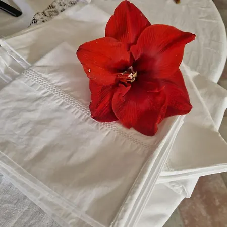 Διαμέρισμα La Flor Del Cantabrico Ribadeo